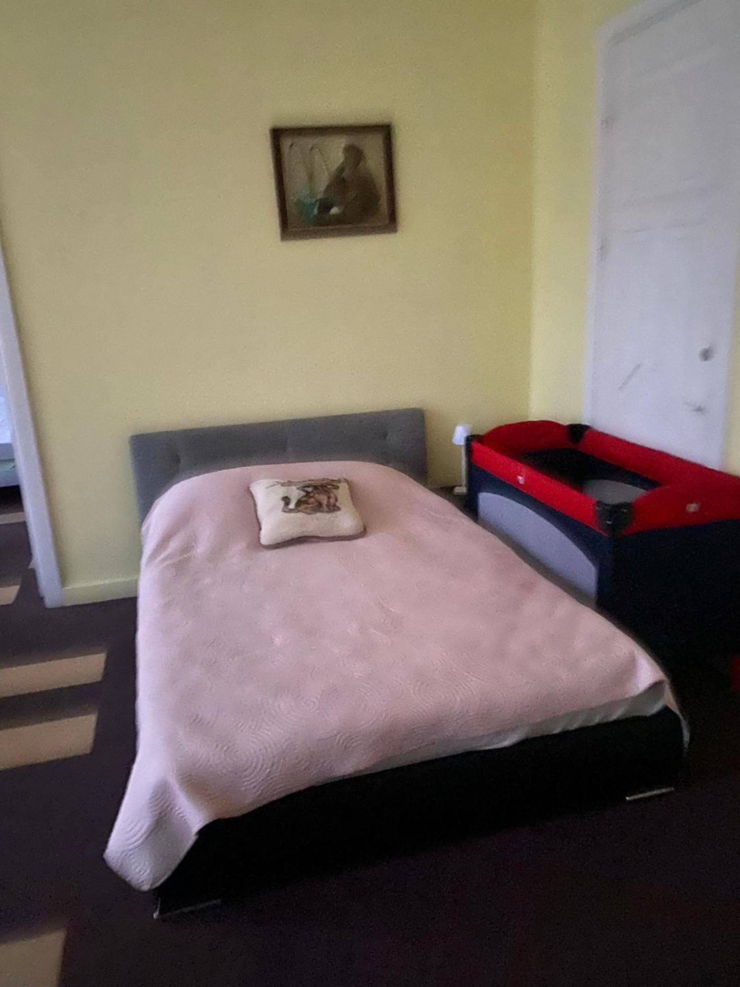 カウナス Sija'S Houseホステル エクステリア 写真